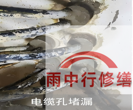 红桥电缆线空洞堵漏加固案例